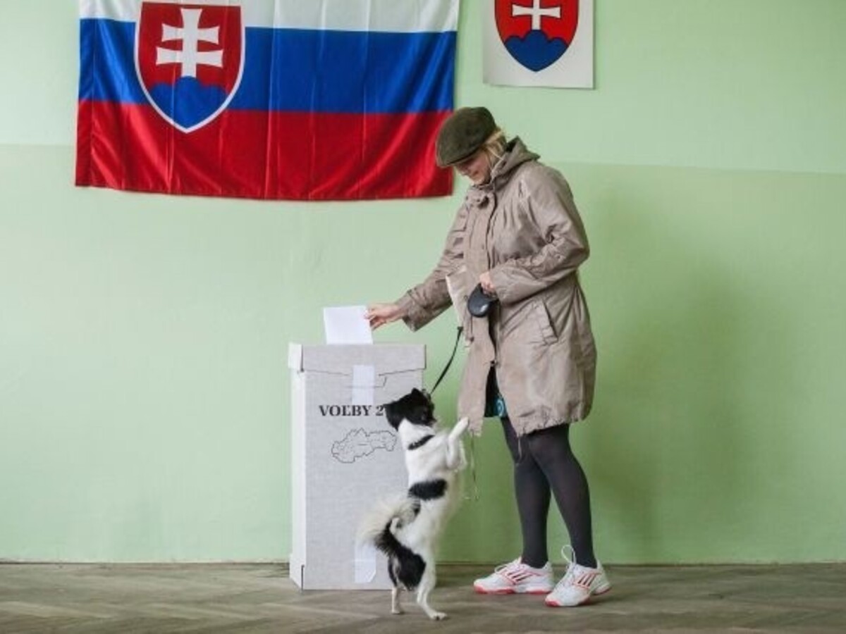 voľby VUC (SITA)